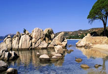 罗马球员间默契配合，助球队收获连胜的简单介绍